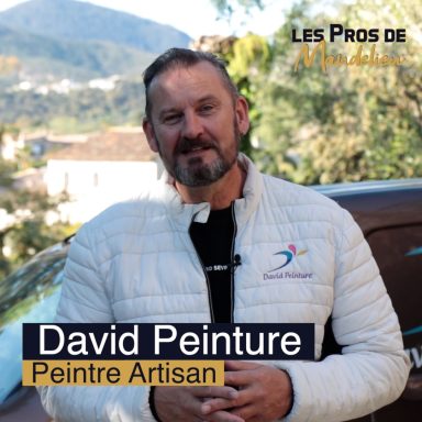 David Peinture